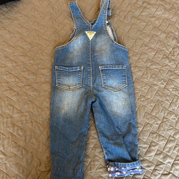 Denim Overalls - Picture 3 of 6